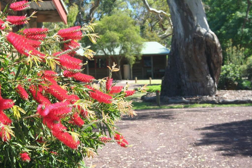 Southern Grampians Cottages Dunkeld Buitenkant foto