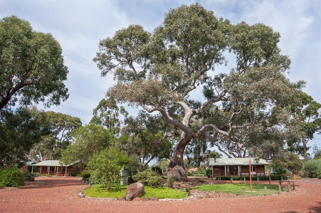 Southern Grampians Cottages Dunkeld Buitenkant foto