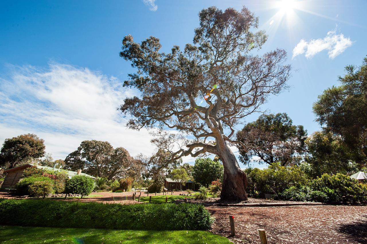 Southern Grampians Cottages Dunkeld Buitenkant foto