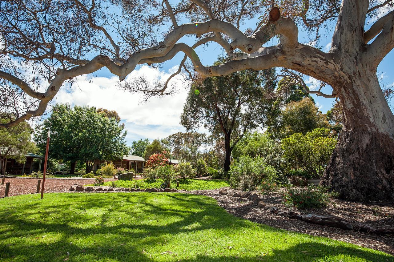 Southern Grampians Cottages Dunkeld Buitenkant foto